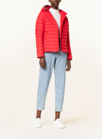 TOMMY HILFIGER Lightweight-Daunenjacke ESSENTIAL mit abnehmbarer Kapuze, Farbe: ROT (Bild 1)