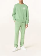 NAPAPIJRI Sweatshirt B-HITRA , Farbe: HELLGRÜN (Bild 1)