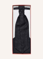 WILVORST Set: Plastron und Einstecktuch, Farbe: DUNKELBLAU (Bild 1)