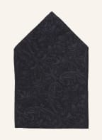 WILVORST Set: Plastron und Einstecktuch, Farbe: DUNKELBLAU (Bild 1)
