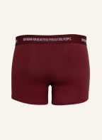 DRYKORN 3er-Pack Boxershorts CORBIN, Farbe: GRAU/ WEISS/ DUNKELROT (Bild 1)