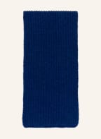 LUISA CERANO Schal mit Alpaka, Farbe: BLAU (Bild 1)