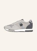 Blauer Sneaker QUEENS, Farbe: HELLGRAU/ GRAU (Bild 1)