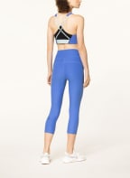 On Sport-BH ACTIVE, Farbe: BLAU/ SCHWARZ (Bild 1)
