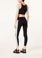 Palm Angels Cropped top, Color: BLACK (Image 1)