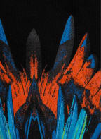 MARCELO BURLON Sweatpants, Farbe: SCHWARZ (Bild 1)
