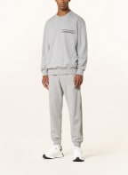 Alexander McQUEEN Sweatshirt, Color: GRAY (Image 1)