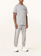 Alexander McQUEEN T-shirt, Color: GRAY (Image 1)