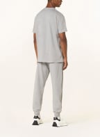 Alexander McQUEEN T-shirt, Color: GRAY (Image 1)