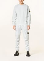STONE ISLAND Sweatshirt, Color: LIGHT GRAY (Image 1)