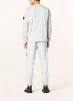 STONE ISLAND Sweatshirt, Color: LIGHT GRAY (Image 1)