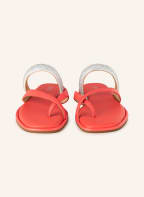 MICHAEL KORS Flip Flops ALBA, Color: 649 DAHLIA (Image 1)