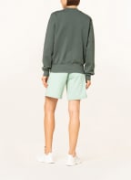 DAILY PAPER Sweatshirt EVVIE, Farbe: GRÜN (Bild 1)