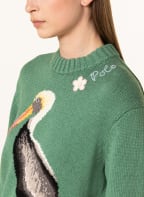 POLO RALPH LAUREN Sweater , Color: GREEN (Image 1)