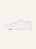 ALL SAINTS Sneaker SHEER, Farbe: WEISS (Bild 1)