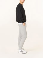 NAPAPIJRI Hose MALIS im Jogging-Stil, Farbe: GRAU (Bild 1)