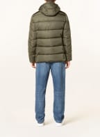 SAVE THE DUCK Steppjacke CLIFF, Farbe: OLIV (Bild 1)