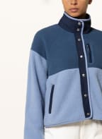 THE NORTH FACE Fleece jacket CRAGMONT, Color: LIGHT BLUE/ BLUE (Image 1)