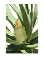 LIGNE ST BARTH CORPS & BAIN Aloe Vera Gel with Mint
