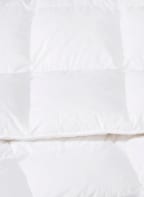 RID SELECTION Daunendecke Selection Gold warm, Farbe: WEISS (Bild 1)