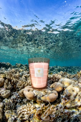 Baobab COLLECTION Duftkerze MALIBU, Farbe: HELLROSA (Bild 1)