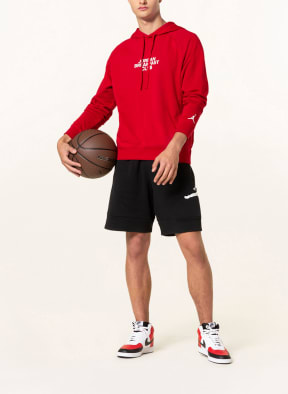 JORDAN Hoodie DRI-FIT SPORT BC, Color: DARK RED (Image 1)