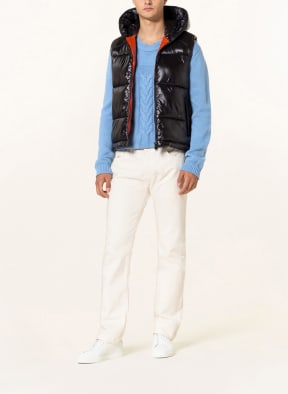 SAVE THE DUCK Quilted vest DEXTER , Color: BLACK (Image 1)