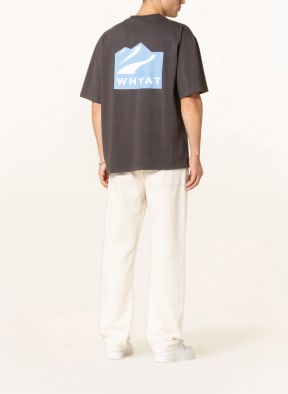 WHYAT T-shirt, Color: GRAY (Image 1)