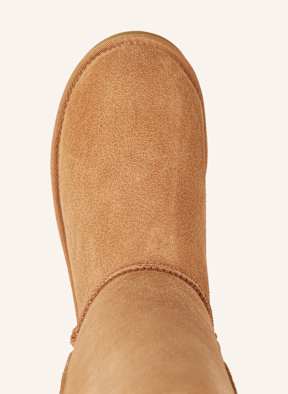 Tall chestnut uggs on sale 2025