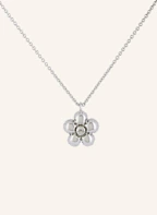 Farbe: SILBER