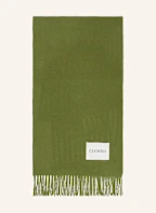 Farbe: DUNKELGRÜN