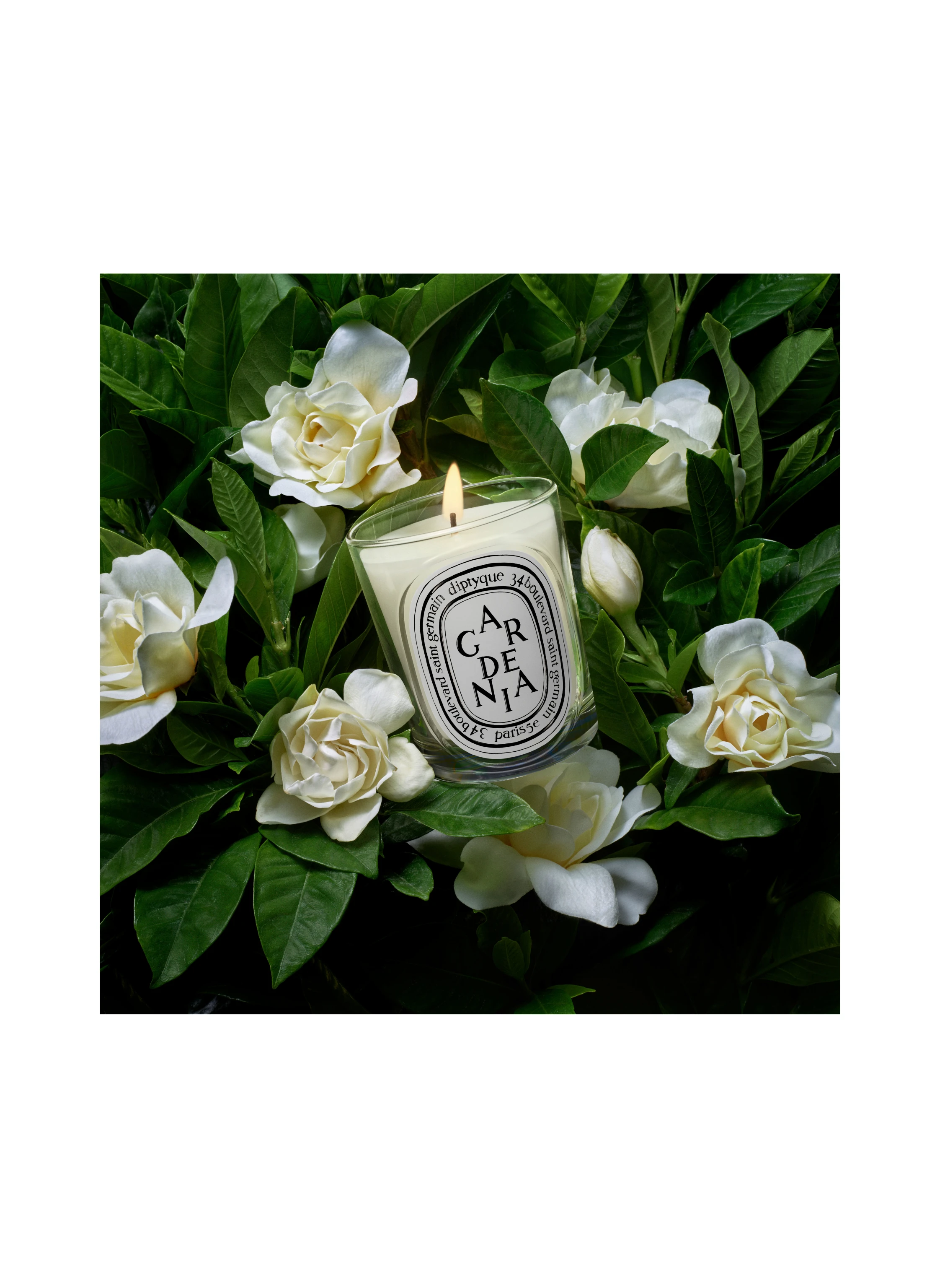 diptyque GARDENIA Scented candle