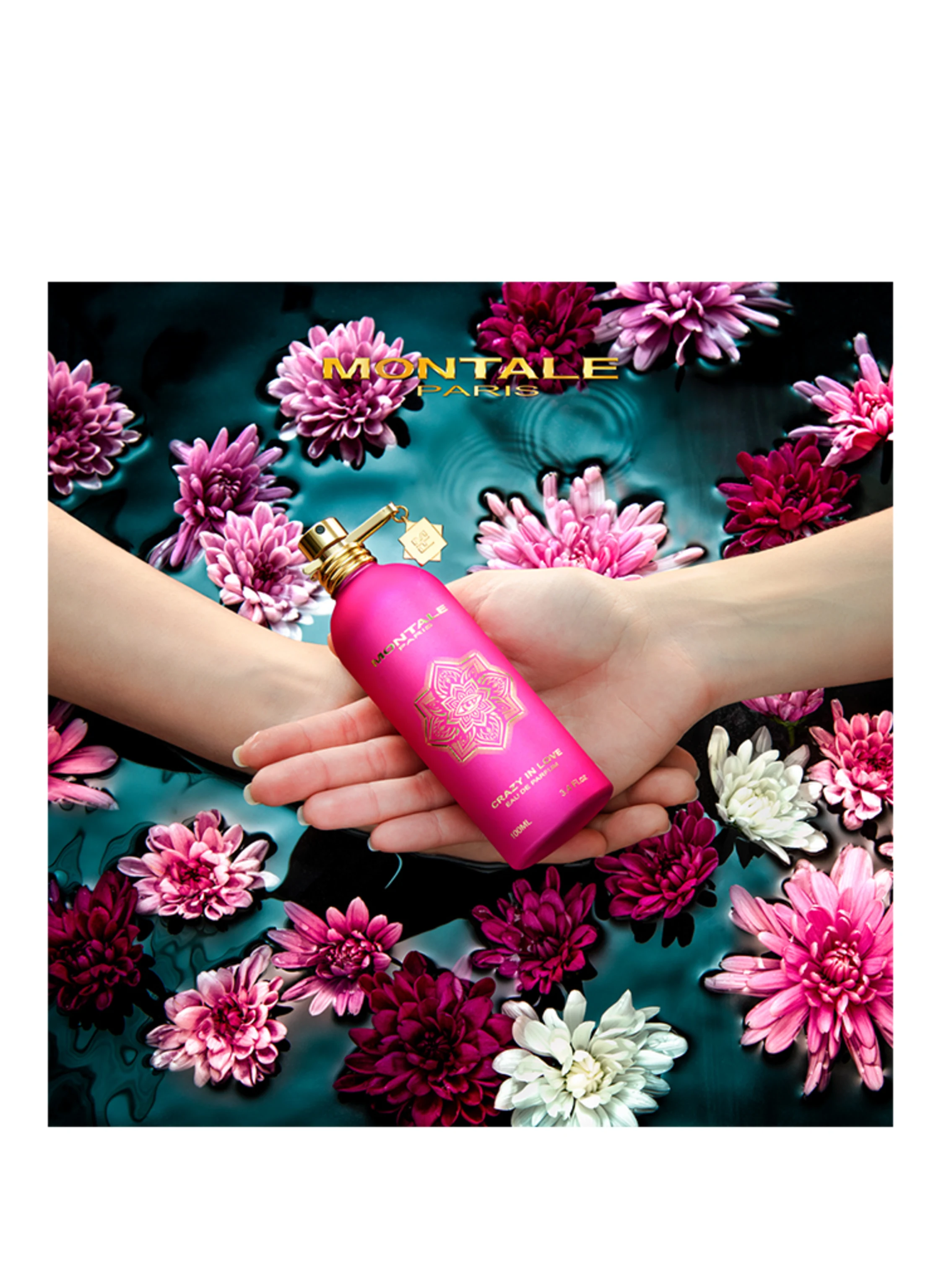 MONTALE CRAZY IN LOVE