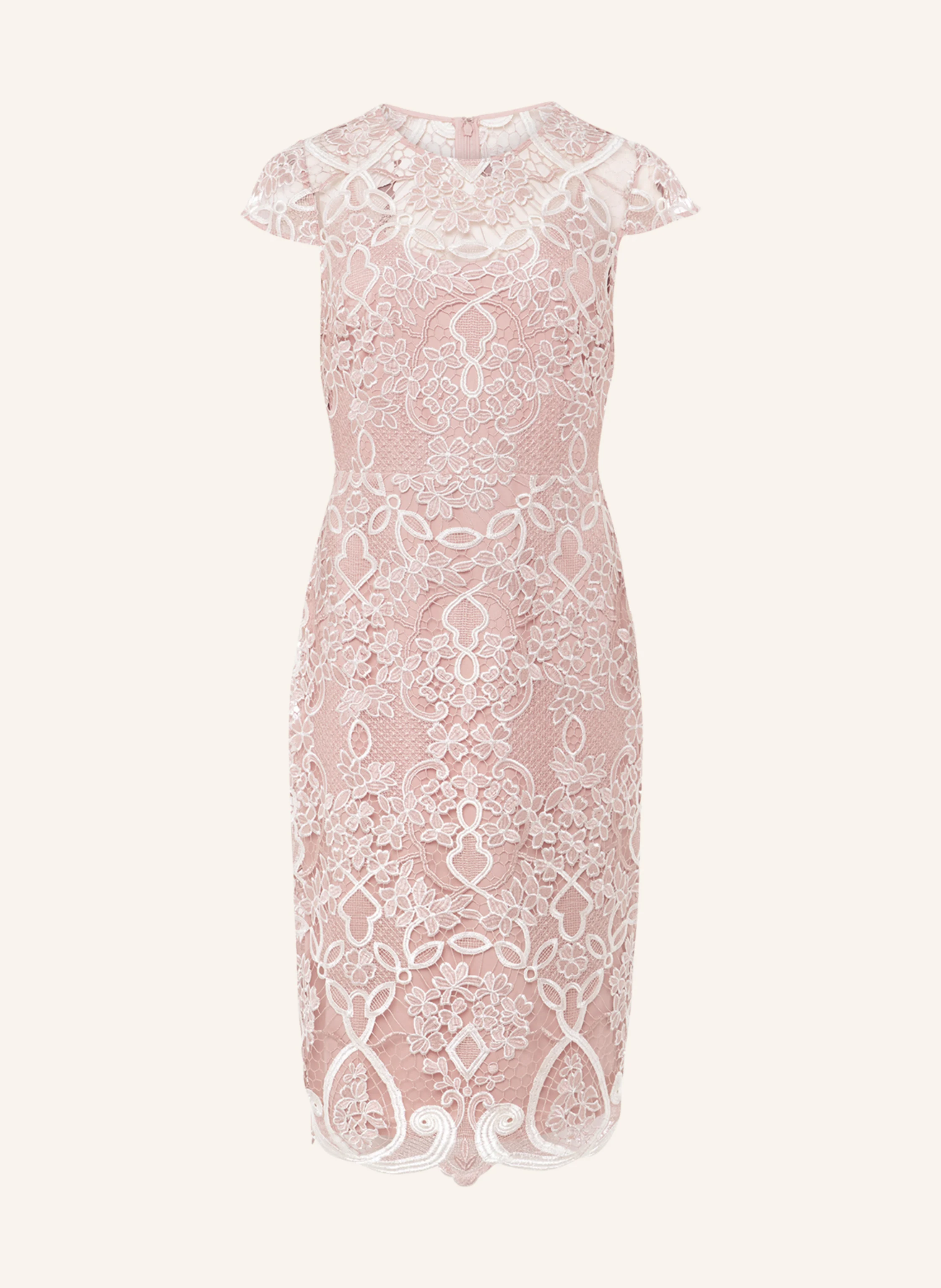 【PHASE EIGHT】Francis Lace ワンピース PHASE EIGHT Frances Lace Dress in Latte/Oyster | endource