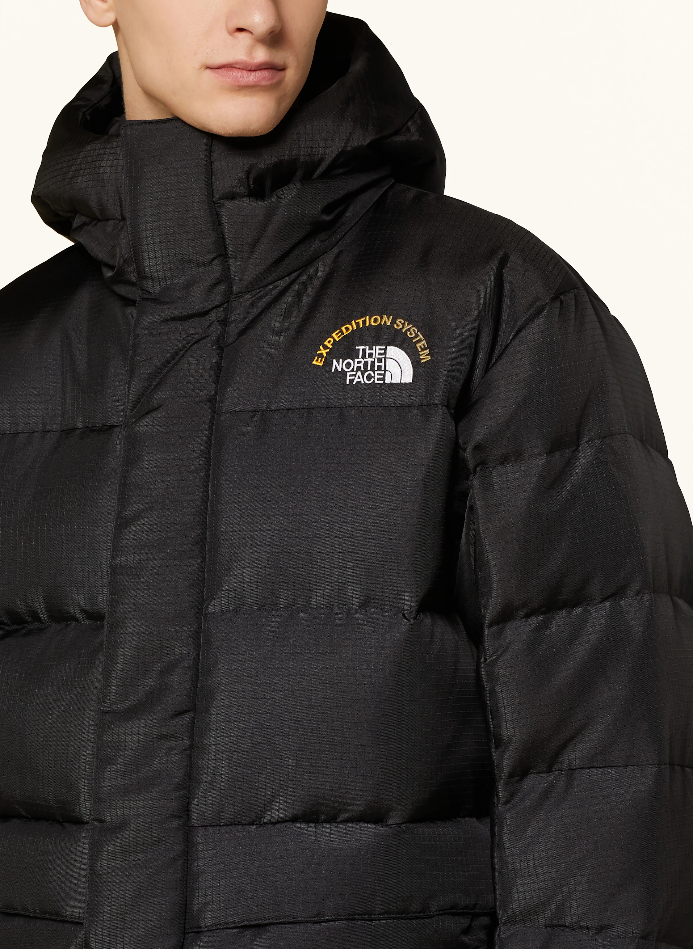 ★THE NORTH FACE★HIMALAYAN 30TH ANNIVERSARY COAT (RDS)★ THE NORTH FACE Kurtka puchowa 30TH ANNIVERSARY HIMALAYAN