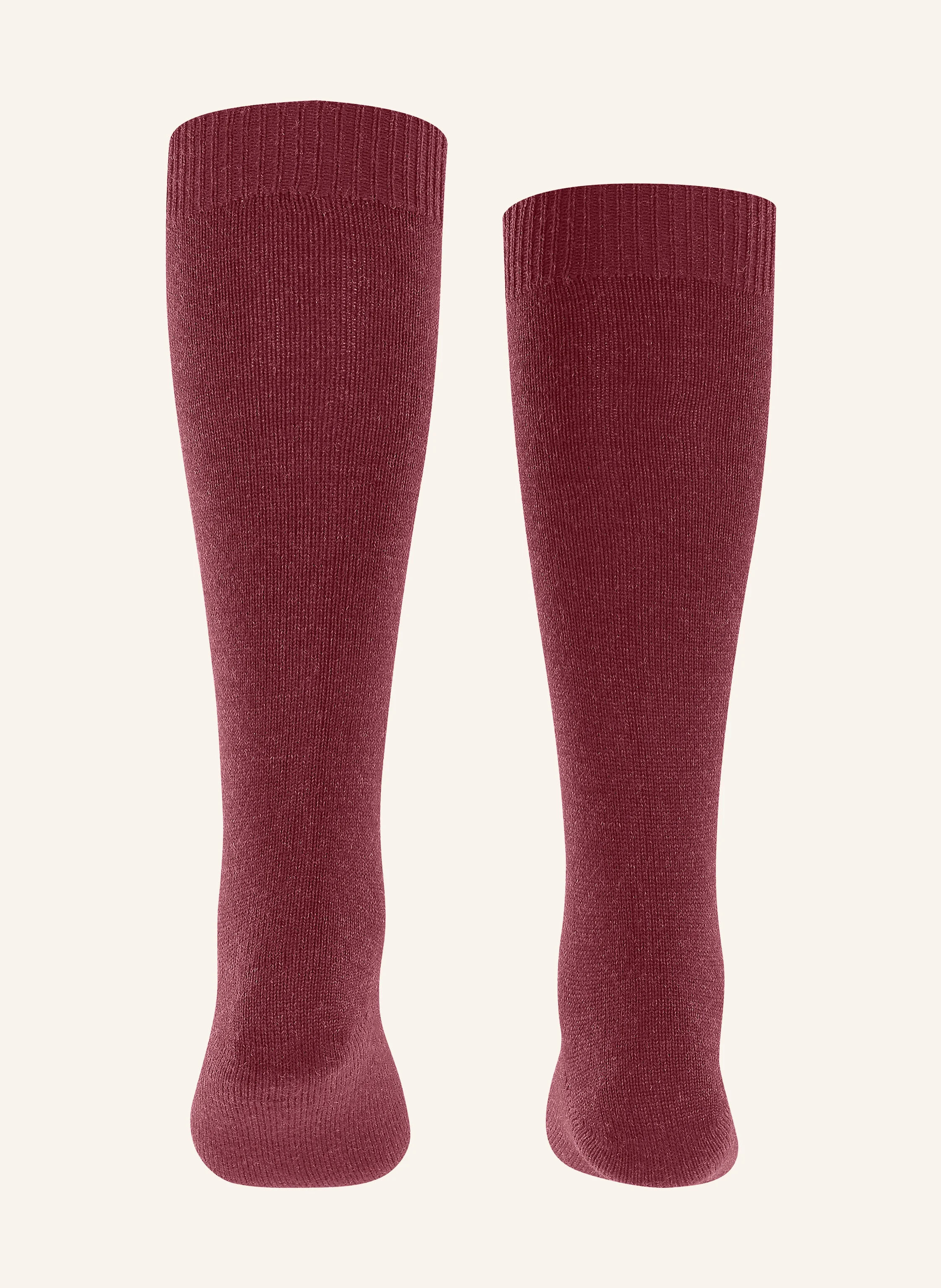FALKE Strømper COMFORT WOOL af merinould: 8830 RUBY