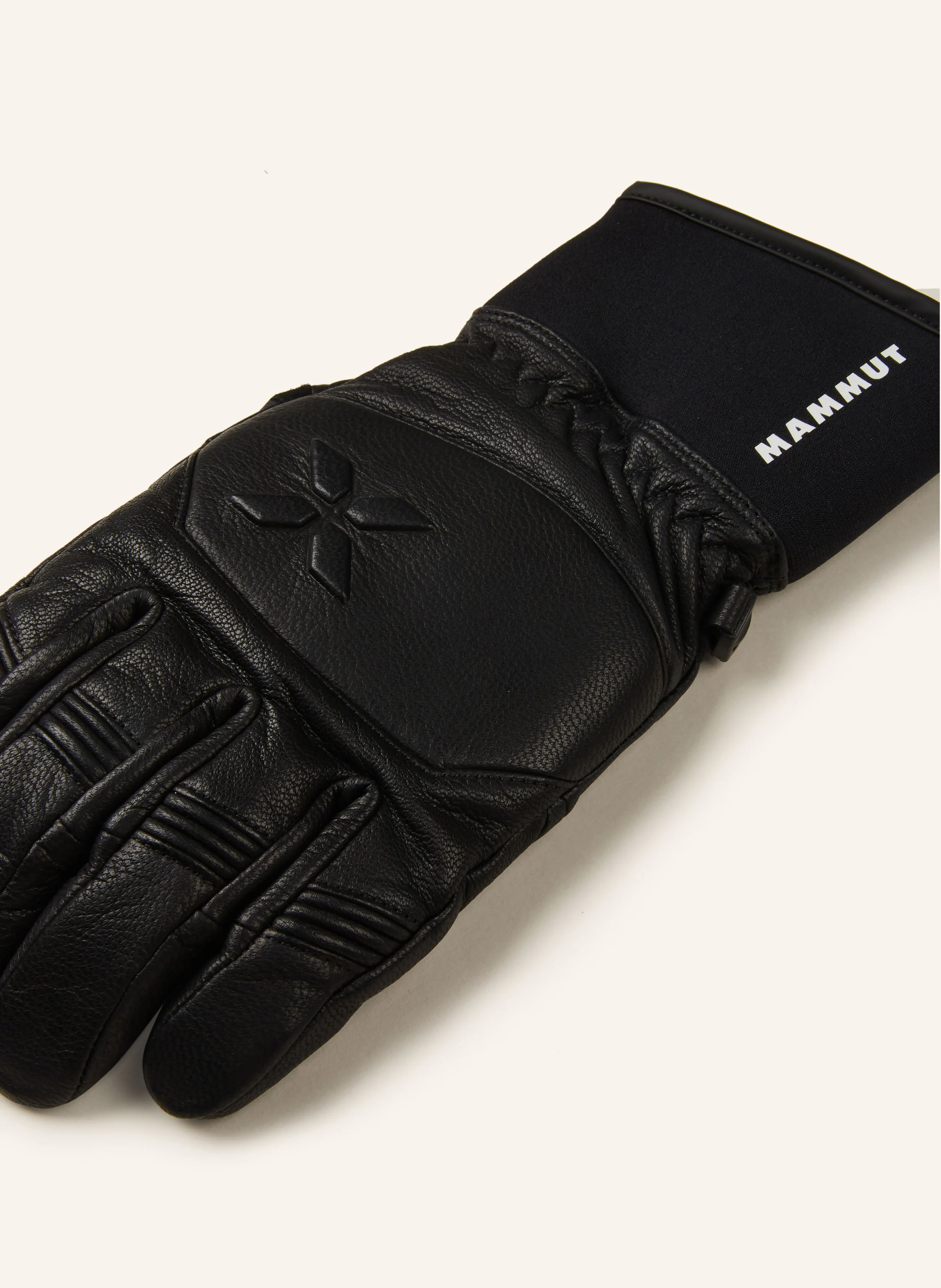 Mammut Eiger Free Glove ゴアテックス サイズ9 Eiger Free Glove | Mammut