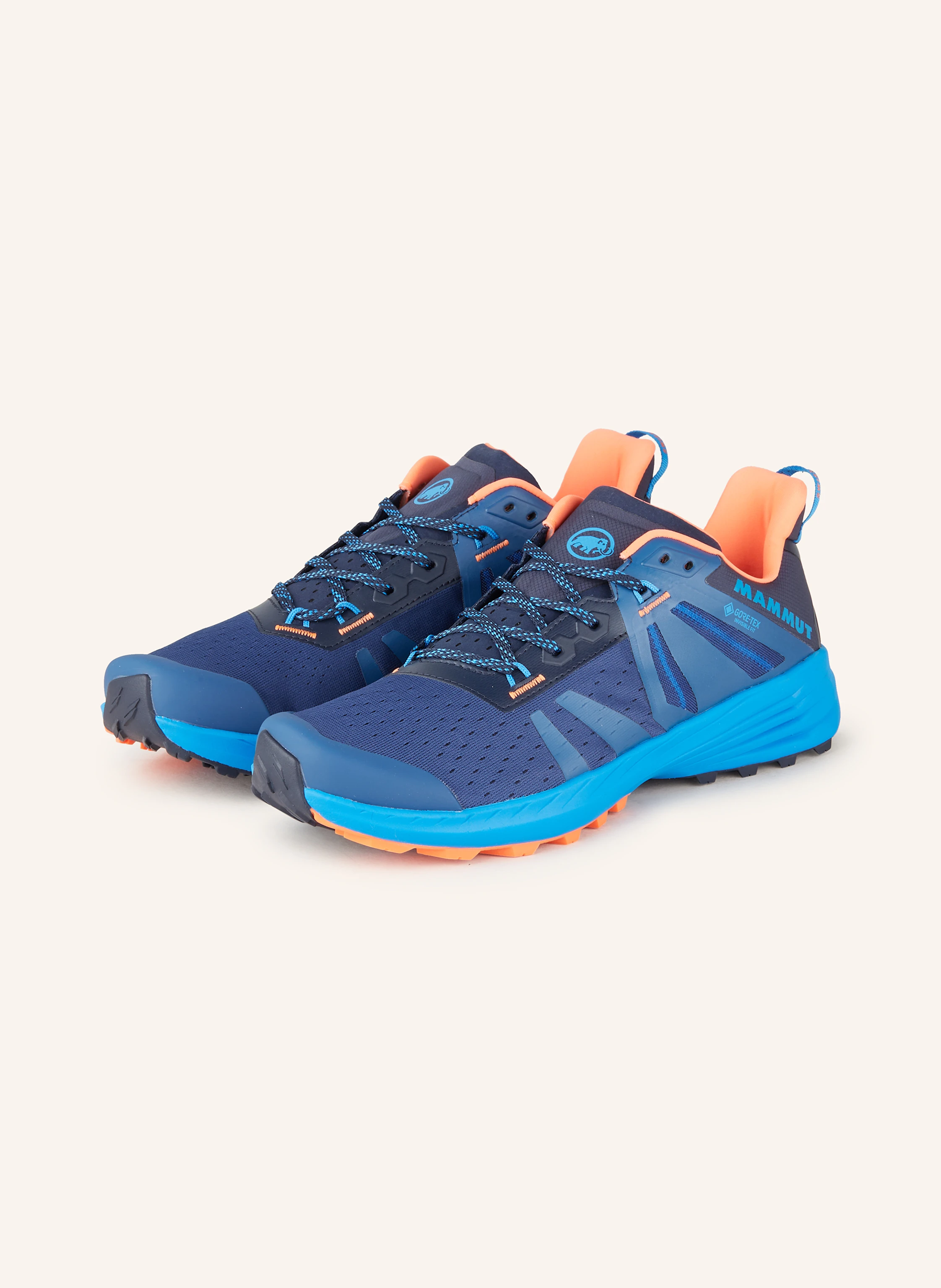 MAMMUT Trail running shoes SAENTIS TR LOW GTX in blue