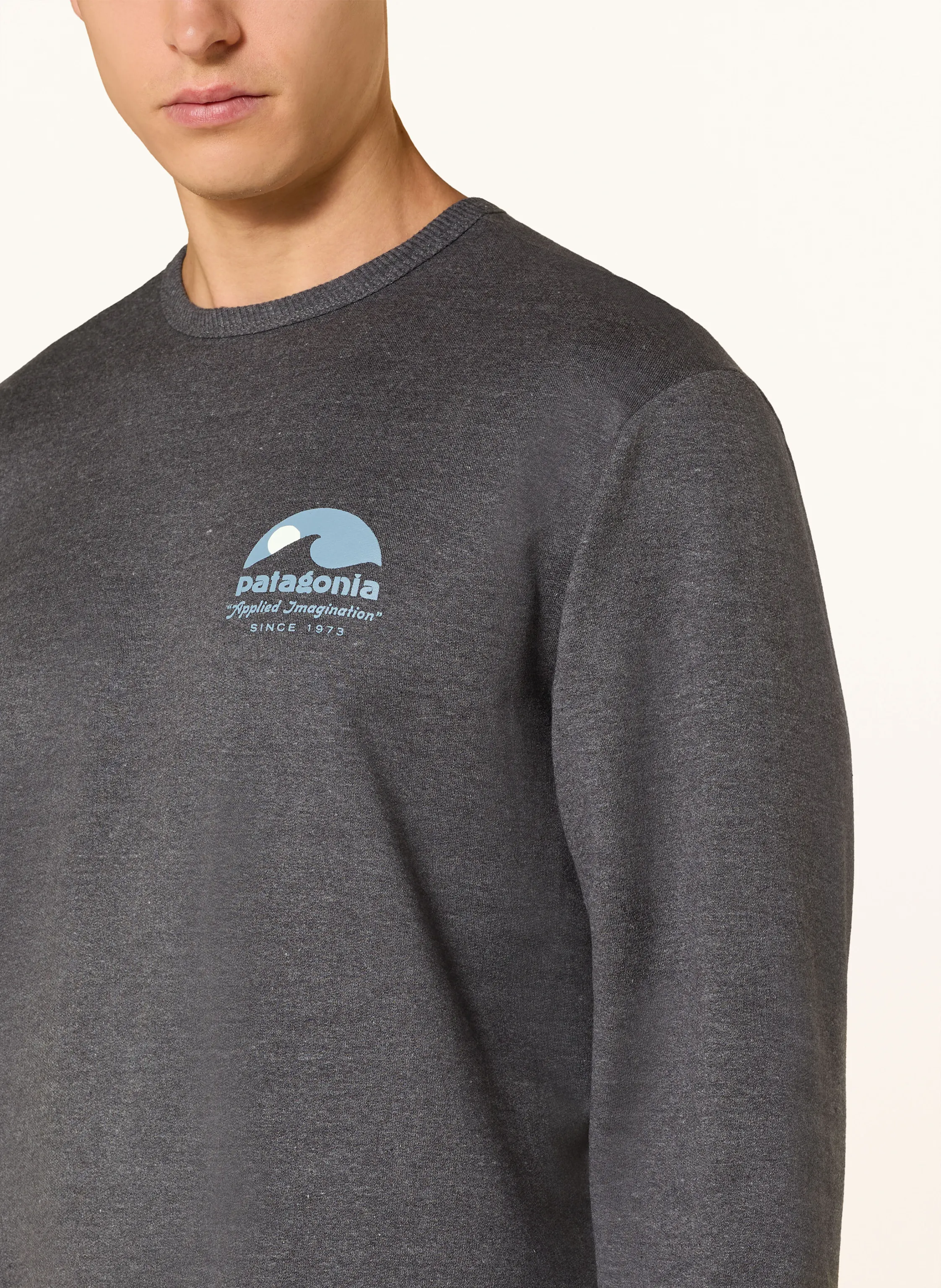 patagonia Sweatshirt in dunkelgrau