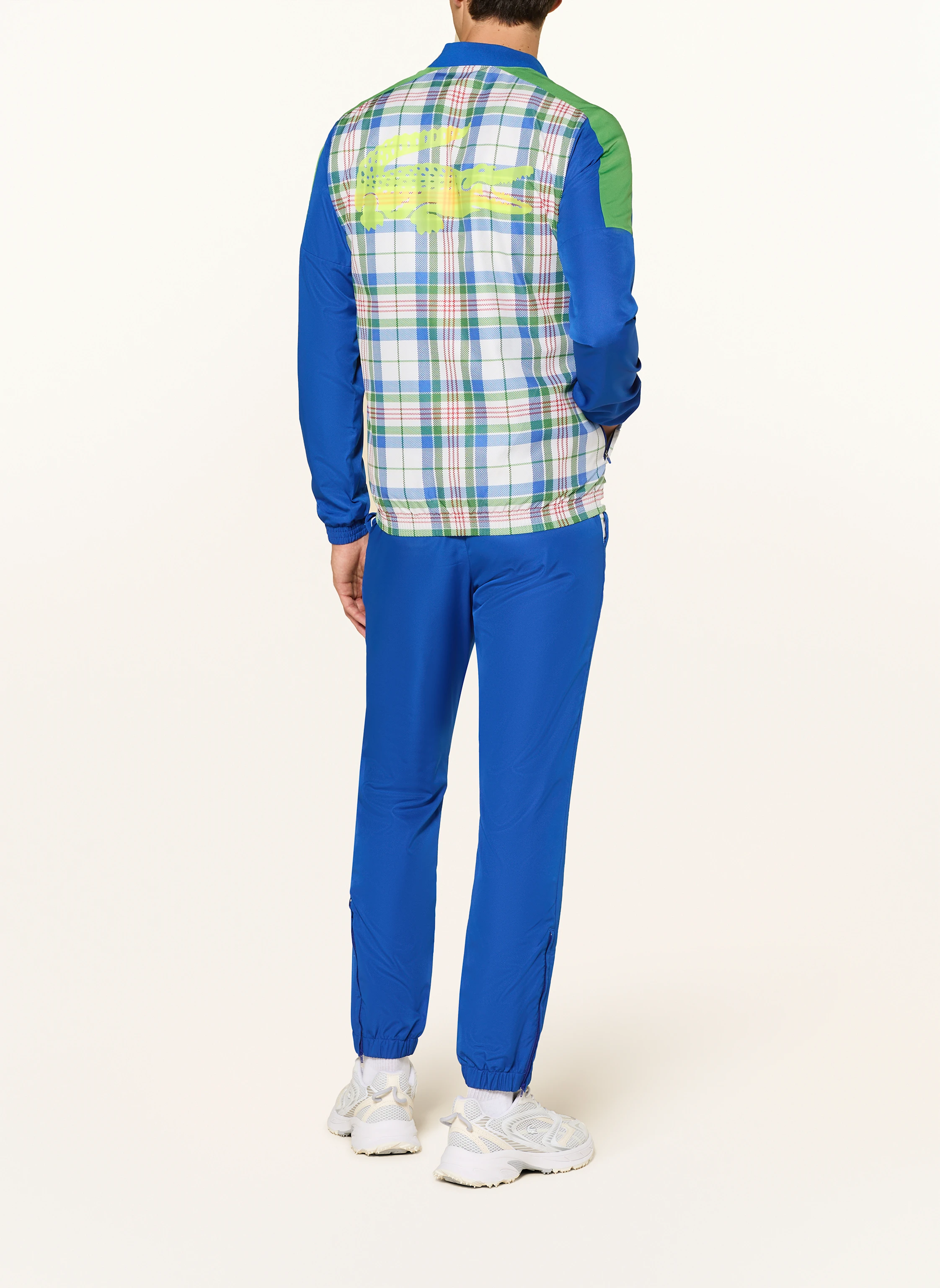 LACOSTE trainingspak in blue/ white/ green