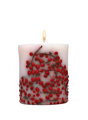 ACQUA DI PARMA CANDLE RED BERRIES