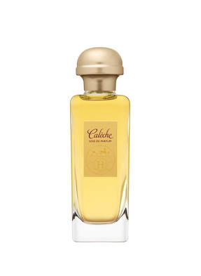 HERMÈS CALÈCHE