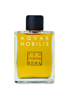 PRO FVMVM ROMA AQVAE NOBILIS