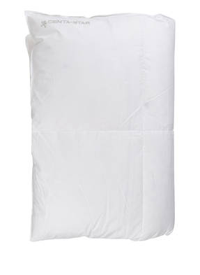 CENTA-STAR Winter-Daunendecke AMBIENTE