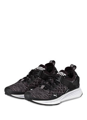 PUMA Sneaker IGNITE EVOKNIT