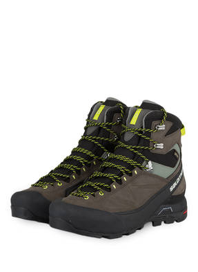 SALOMON Outdoor-Schuhe X ALP MTN GTX®