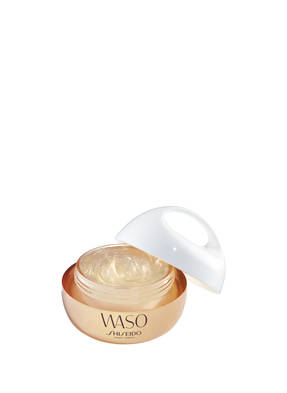 SHISEIDO WASO