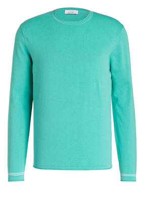 Chas Feinstrickpullover