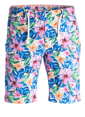 Recycled Art World Shorts