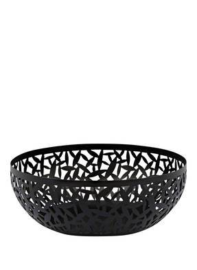 ALESSI Obstschale CACTUS!